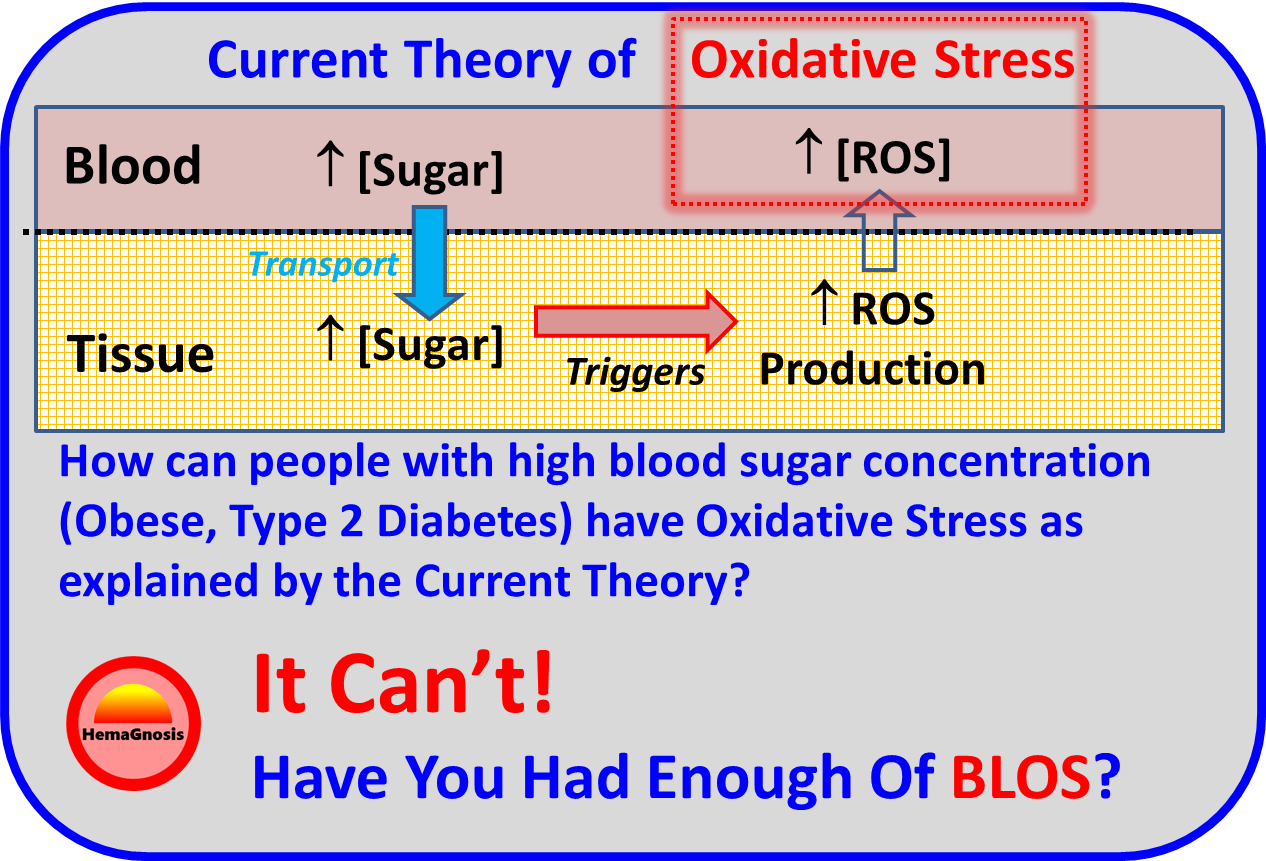 BLOS and Type 2 Diabetes